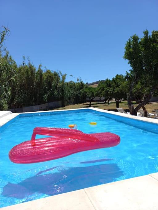 Quinta Da Ponte Das Hortas 1 エルヴァス エクステリア 写真