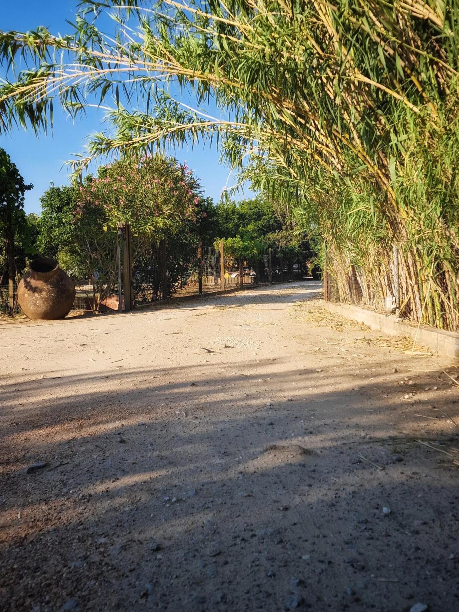 Quinta Da Ponte Das Hortas 1 エルヴァス エクステリア 写真